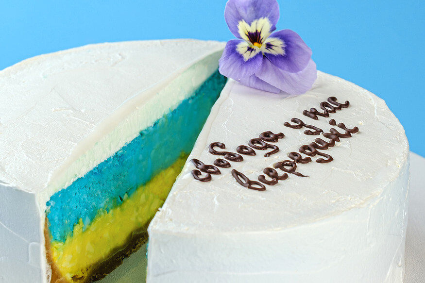Bento Cheesecake «Blue & Yellow»