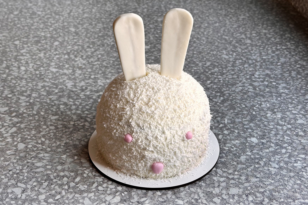 “Funny Bunny” Easter Cake
